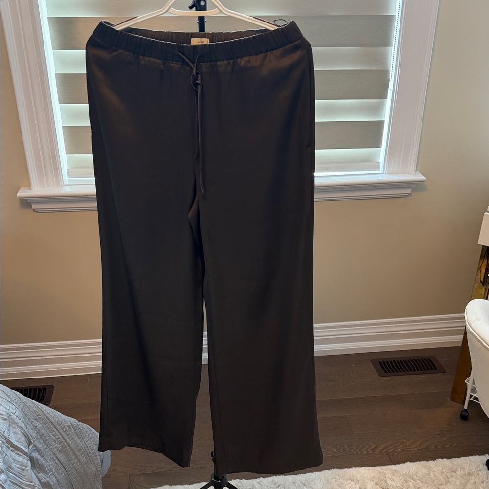 Aritzia Satin Pants Size S NWOT - Picture 2 of 4